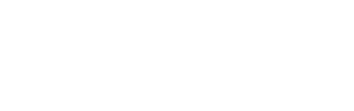 BUCHHOLZ IMPULSE